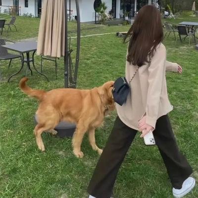 某种生活