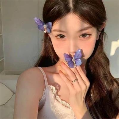 顽将飞渡娘子关
